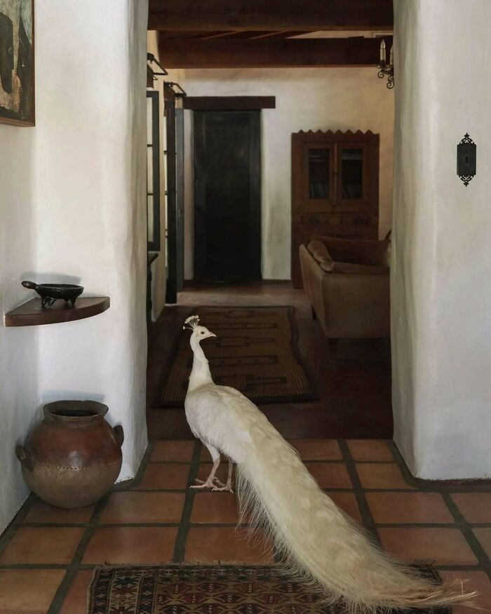 20,000 Books and Other Crazy Interiors That Totally Mess with Your Mind