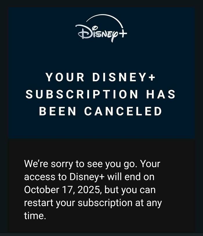 Wait, People Actually Buy This Stuff? 80 Wild Proofs That Consumerism Is Outta Control