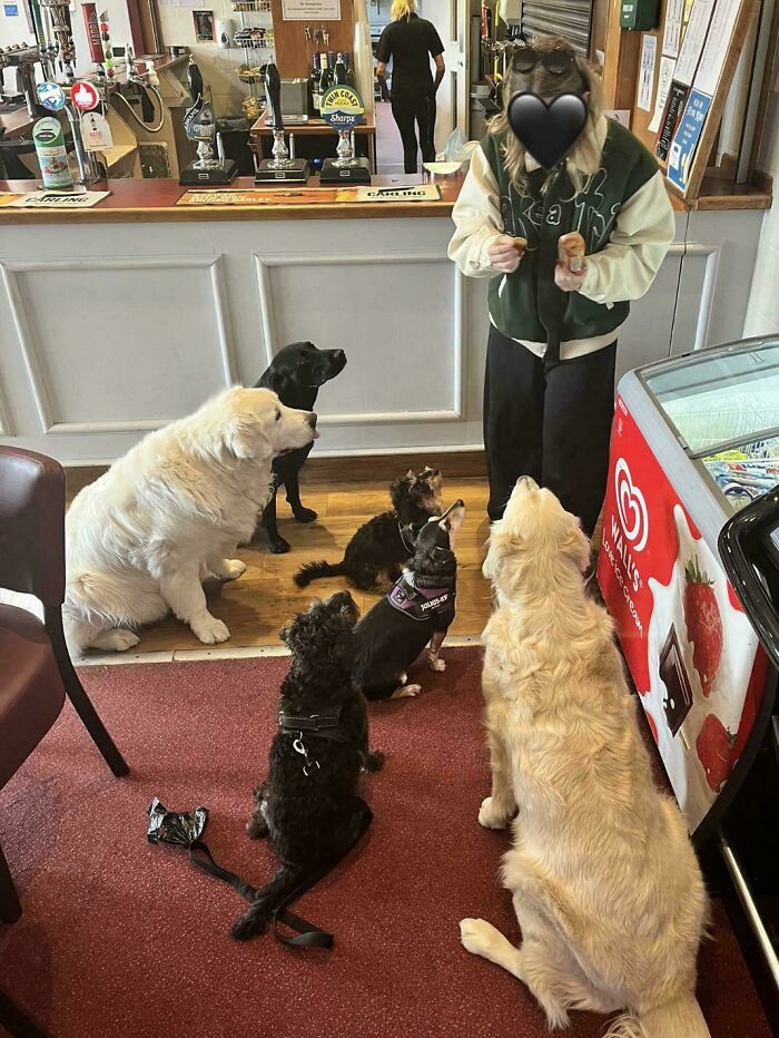 What Happens When You Open Mini Cheddars In A Pub