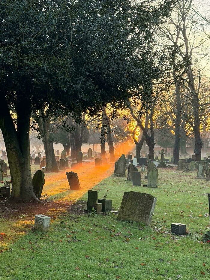 Caught This Morning In Newark Graveyard