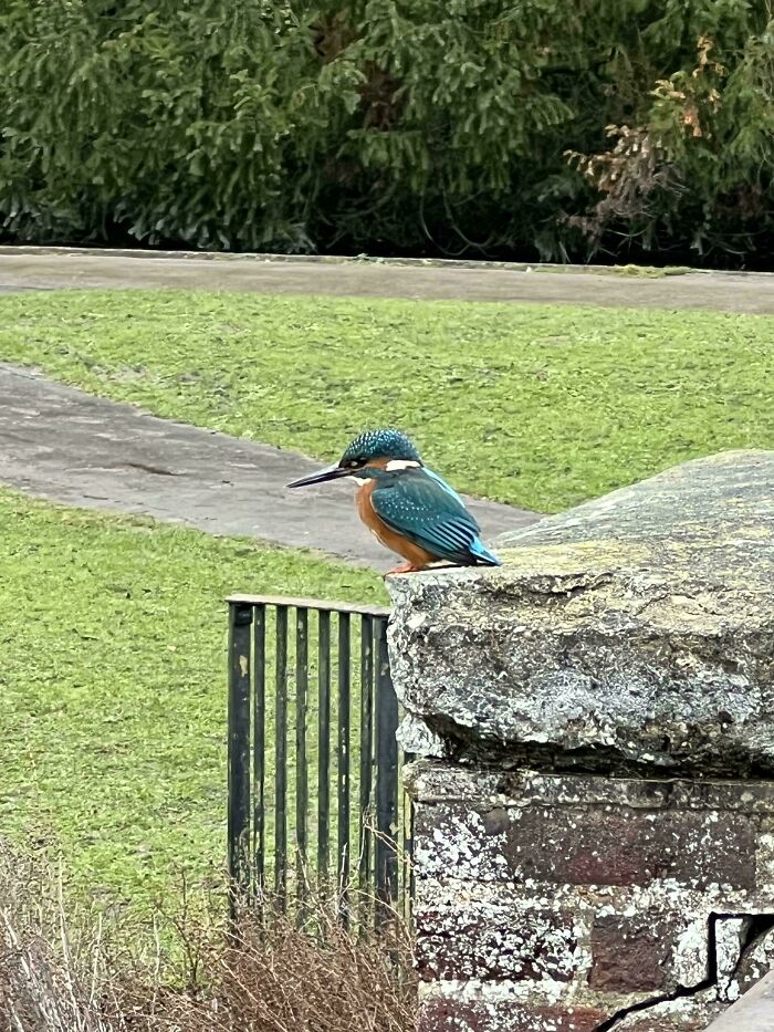 Met This Cute Little Guy Today