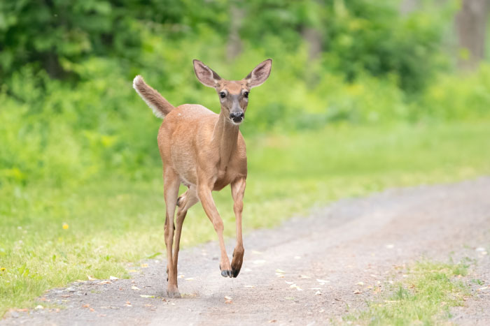 Wait, They Actually Ranked This Stuff?! 32 Wild Public Moments That Had Us LOLing