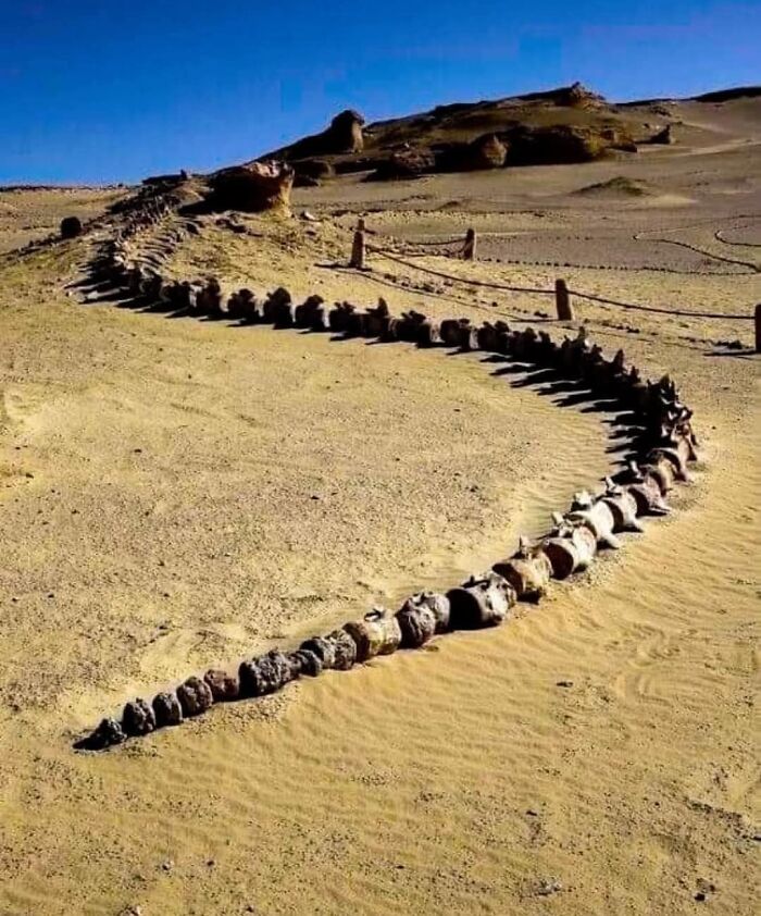 Wait, They Actually Ranked That?! 69 Mind-Blowing History & Archeology Finds