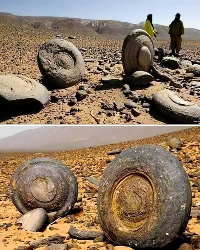 Wait, They Actually Ranked That?! 69 Mind-Blowing History & Archeology Finds