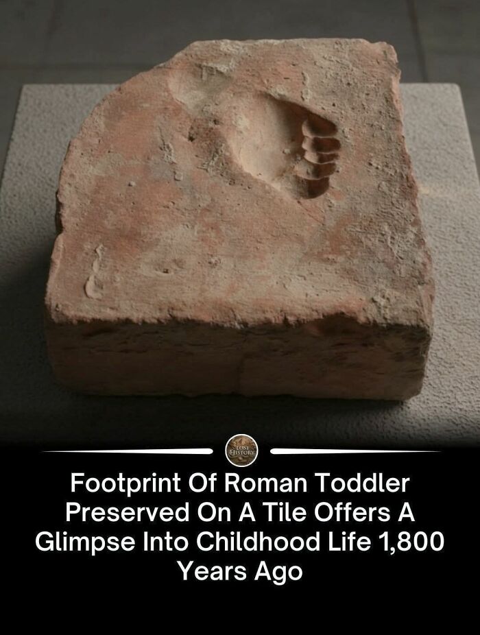 Wait, They Actually Ranked That?! 69 Mind-Blowing History & Archeology Finds