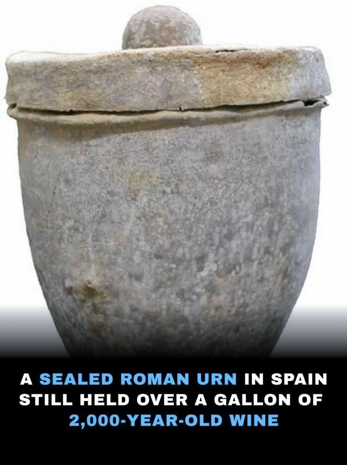 Wait, They Actually Ranked That?! 69 Mind-Blowing History & Archeology Finds