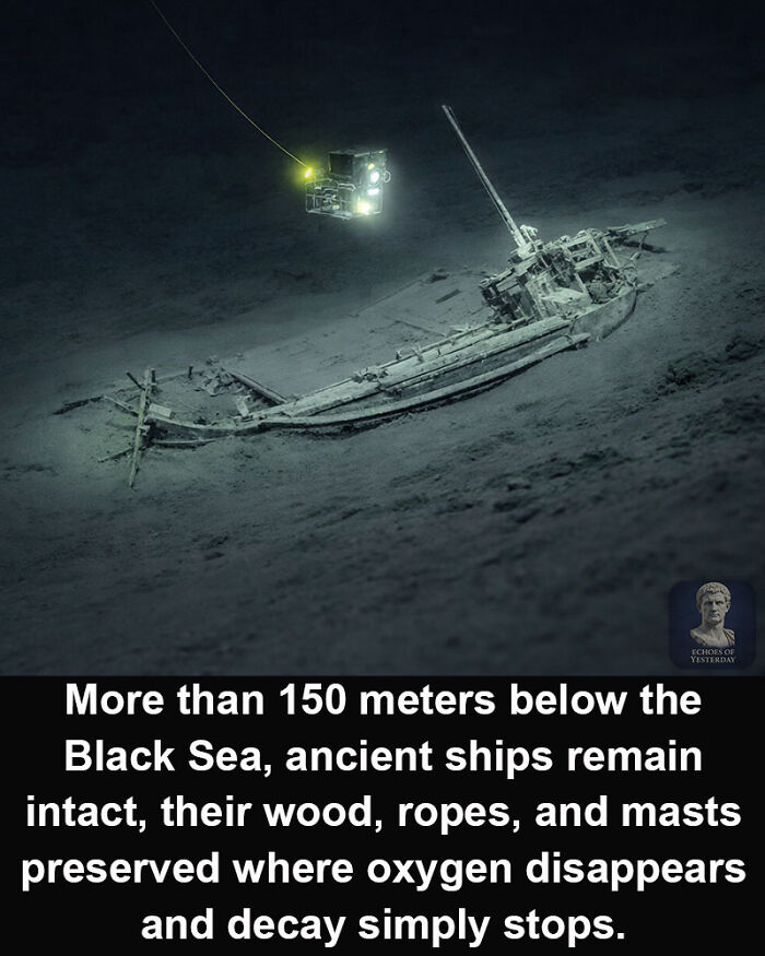 Wait, They Actually Ranked That?! 69 Mind-Blowing History & Archeology Finds