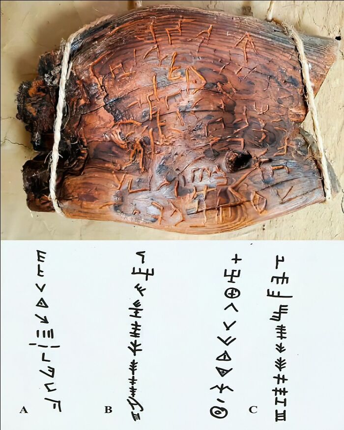 Wait, They Actually Ranked That?! 69 Mind-Blowing History & Archeology Finds