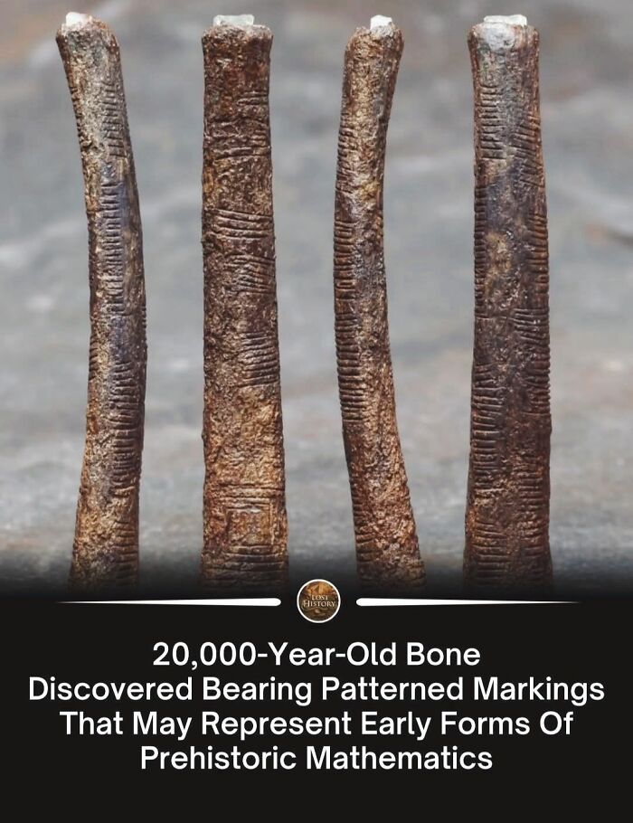 Wait, They Actually Ranked That?! 69 Mind-Blowing History & Archeology Finds