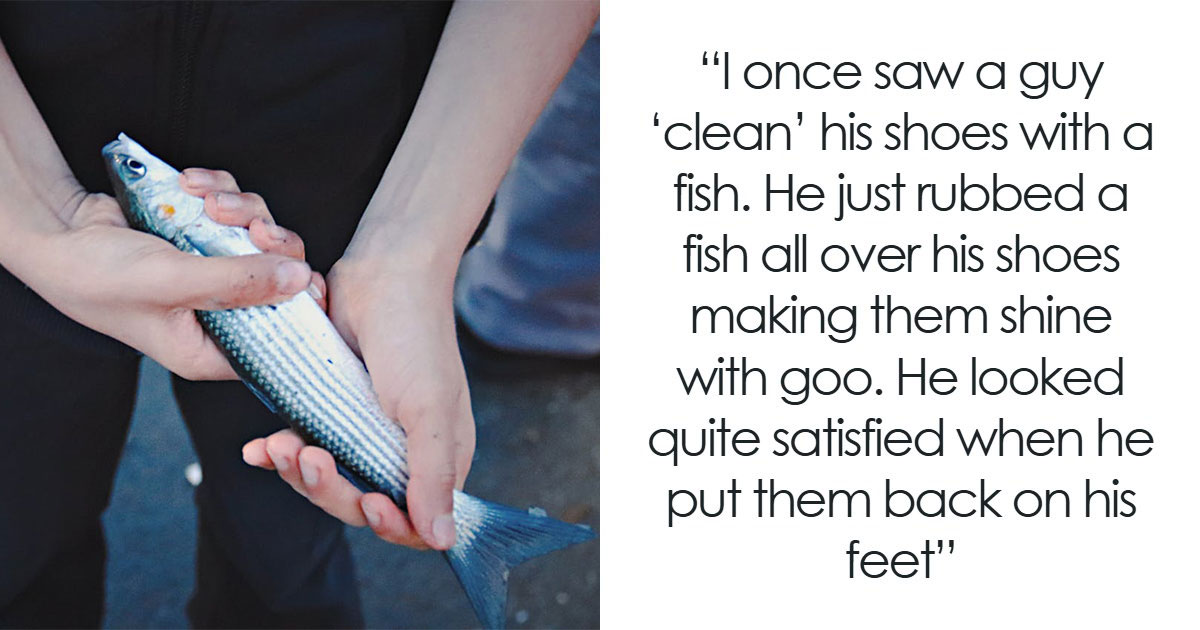 Wait, People REALLY Saw These Wild Subway Moments?