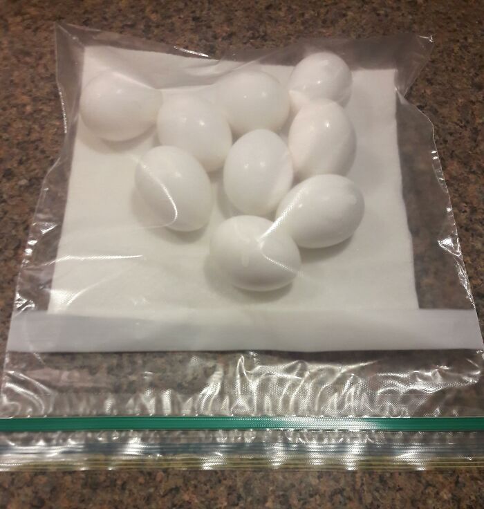 Wait, People REALLY Saw These Wild Subway Moments?