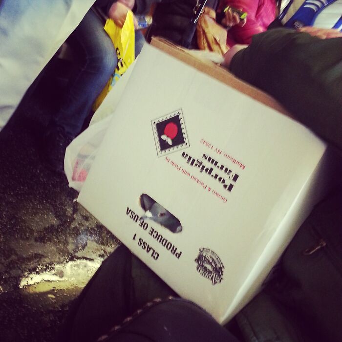 Wait, People REALLY Saw These Wild Subway Moments?