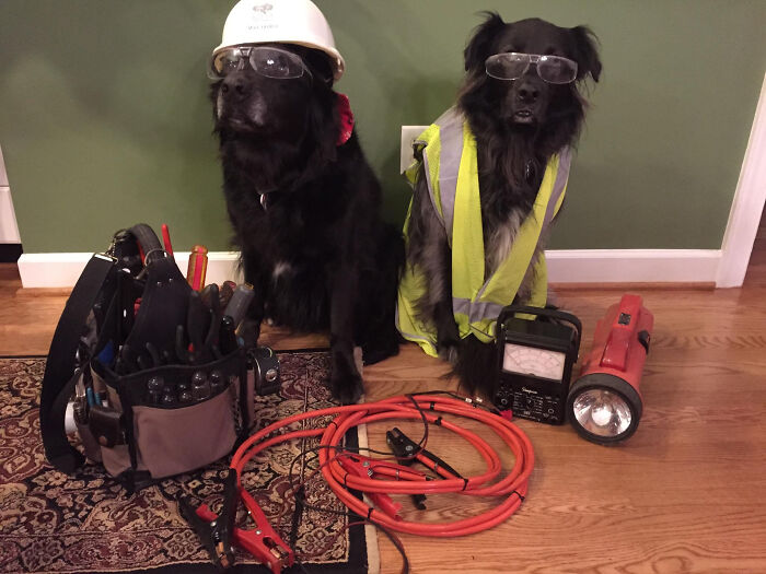 Power Outage Drama? Dad Sends In The Comedy Squad Fast!