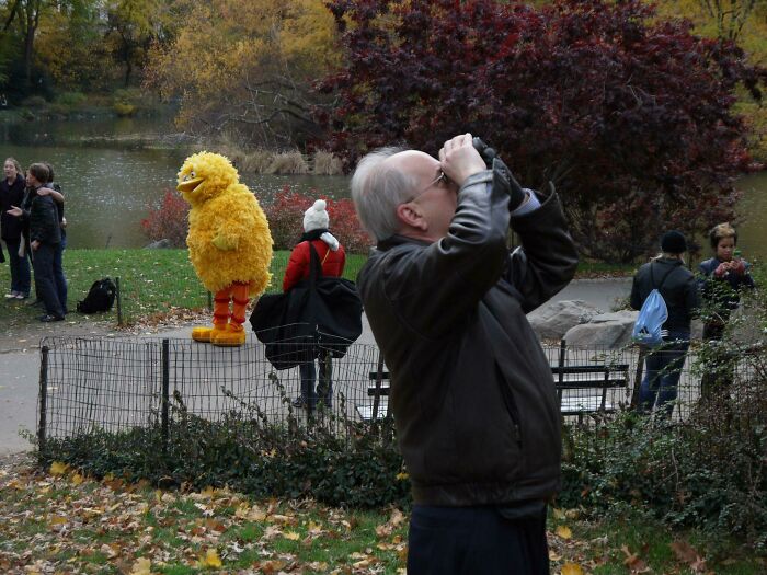Father-In-Law Goes Full Birdwatching Mode In Central Park