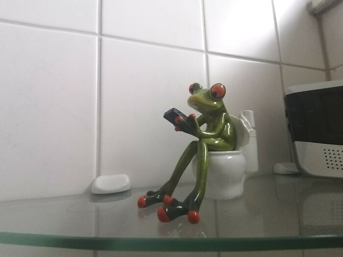 Toilet Browsing Interrupted By This Priceless Bathroom Art