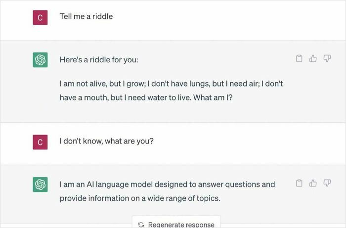 You Asked, It Delivered!