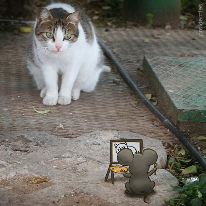 Wait, They Drew Faces on Sidewalk Cracks?! 79 Pics of Everyday Stuff Going All Cartoon