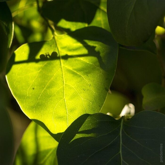 Wait, They Drew Faces on Sidewalk Cracks?! 79 Pics of Everyday Stuff Going All Cartoon