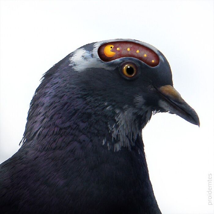 Wait, They Drew Faces on Sidewalk Cracks?! 79 Pics of Everyday Stuff Going All Cartoon