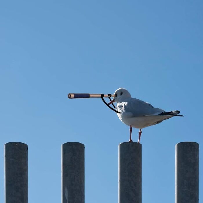 Wait, They Drew Faces on Sidewalk Cracks?! 79 Pics of Everyday Stuff Going All Cartoon