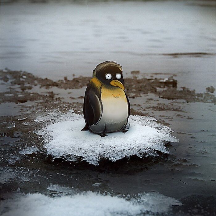 Wait, They Drew Faces on Sidewalk Cracks?! 79 Pics of Everyday Stuff Going All Cartoon