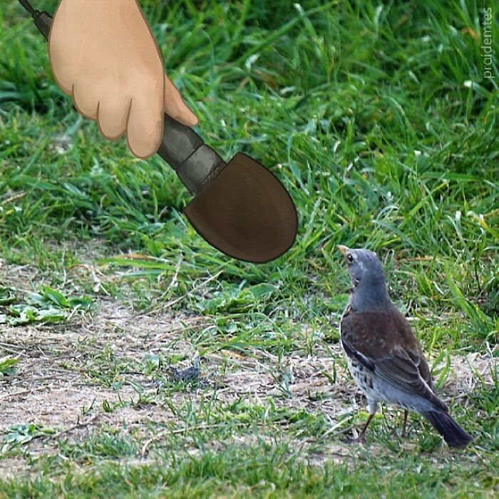 Wait, They Drew Faces on Sidewalk Cracks?! 79 Pics of Everyday Stuff Going All Cartoon