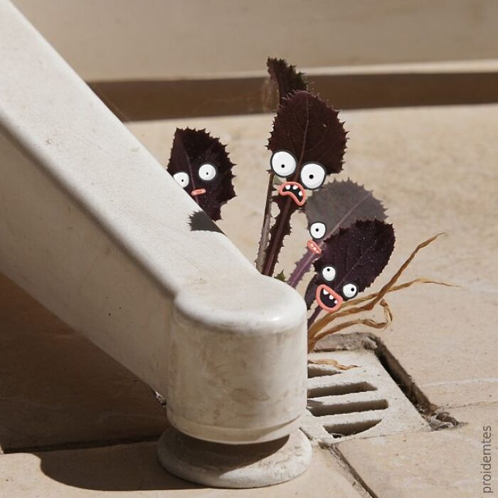 Wait, They Drew Faces on Sidewalk Cracks?! 79 Pics of Everyday Stuff Going All Cartoon