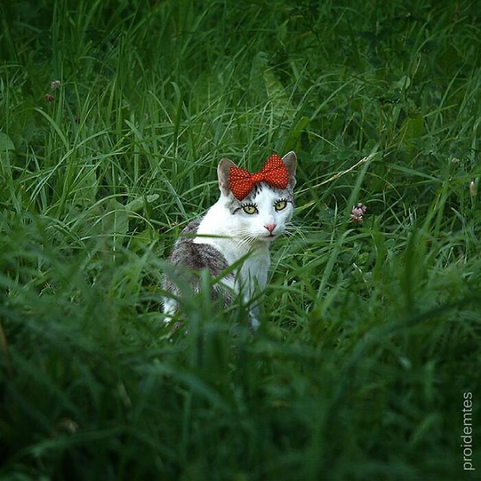 Wait, They Drew Faces on Sidewalk Cracks?! 79 Pics of Everyday Stuff Going All Cartoon