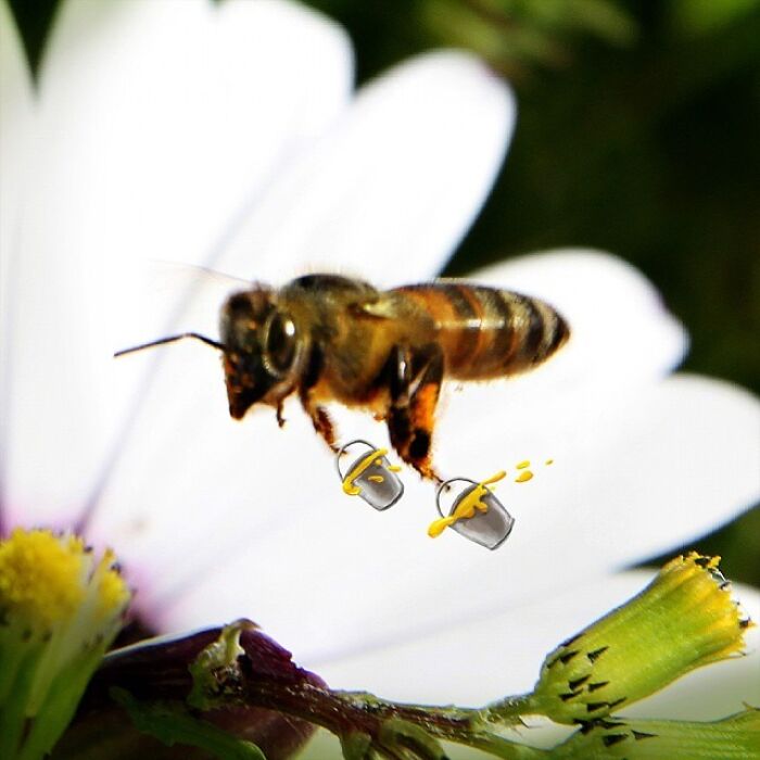 Wait, They Drew Faces on Sidewalk Cracks?! 79 Pics of Everyday Stuff Going All Cartoon