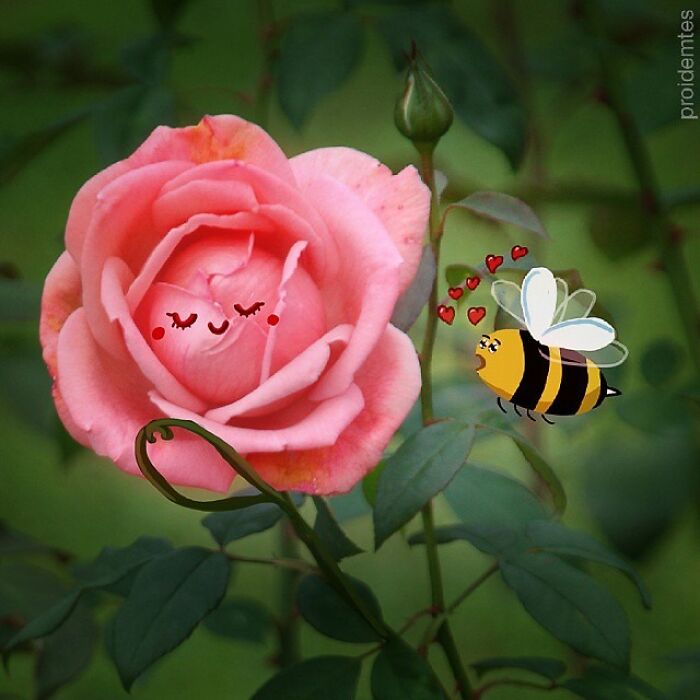 Wait, They Drew Faces on Sidewalk Cracks?! 79 Pics of Everyday Stuff Going All Cartoon