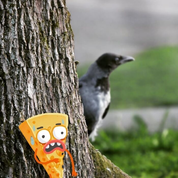 Wait, They Drew Faces on Sidewalk Cracks?! 79 Pics of Everyday Stuff Going All Cartoon