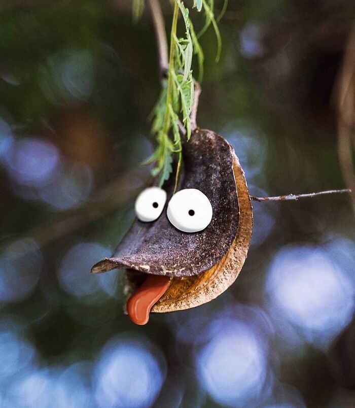 Wait, They Drew Faces on Sidewalk Cracks?! 79 Pics of Everyday Stuff Going All Cartoon