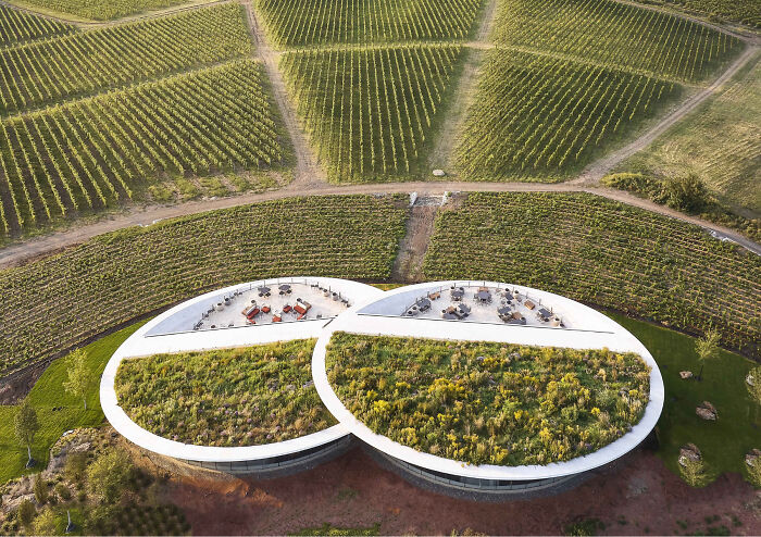 Sauska Tokaj: Where Wine Meets Wow by Bord Studio