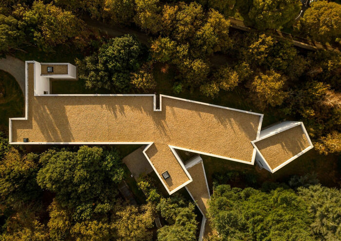 Ala Álvaro Siza: Timeless Culture by Álvaro Siza Vieira