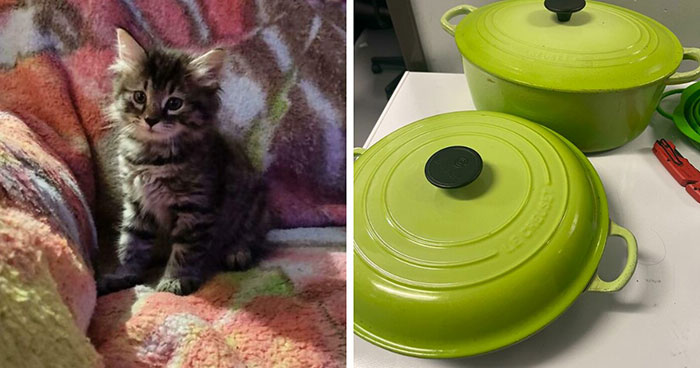 51 Dumpster Treasures That’ll Make You Say, ‘Wait, That’s Trash?’