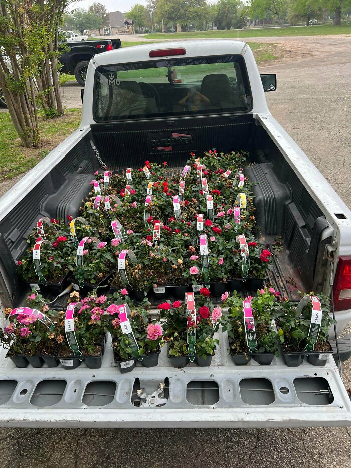 Springtime Jackpot! Snacks on Snacks