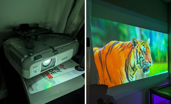 51 Dumpster Treasures That’ll Make You Say, 'Wait, That’s Trash?'