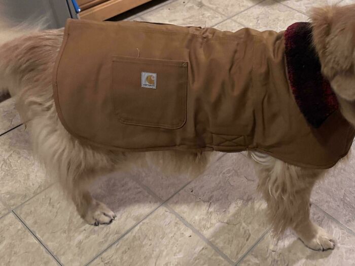 51 Dumpster Treasures That’ll Make You Say, 'Wait, That’s Trash?'