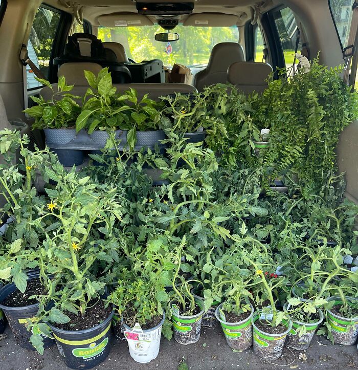 51 Dumpster Treasures That’ll Make You Say, 'Wait, That’s Trash?'