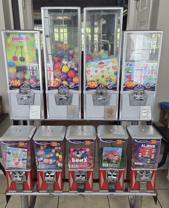 51 Dumpster Treasures That’ll Make You Say, 'Wait, That’s Trash?'