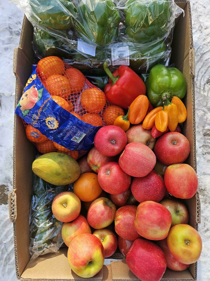 51 Dumpster Treasures That’ll Make You Say, 'Wait, That’s Trash?'