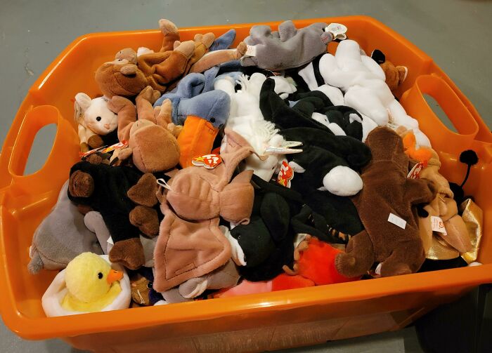 51 Dumpster Treasures That’ll Make You Say, 'Wait, That’s Trash?'