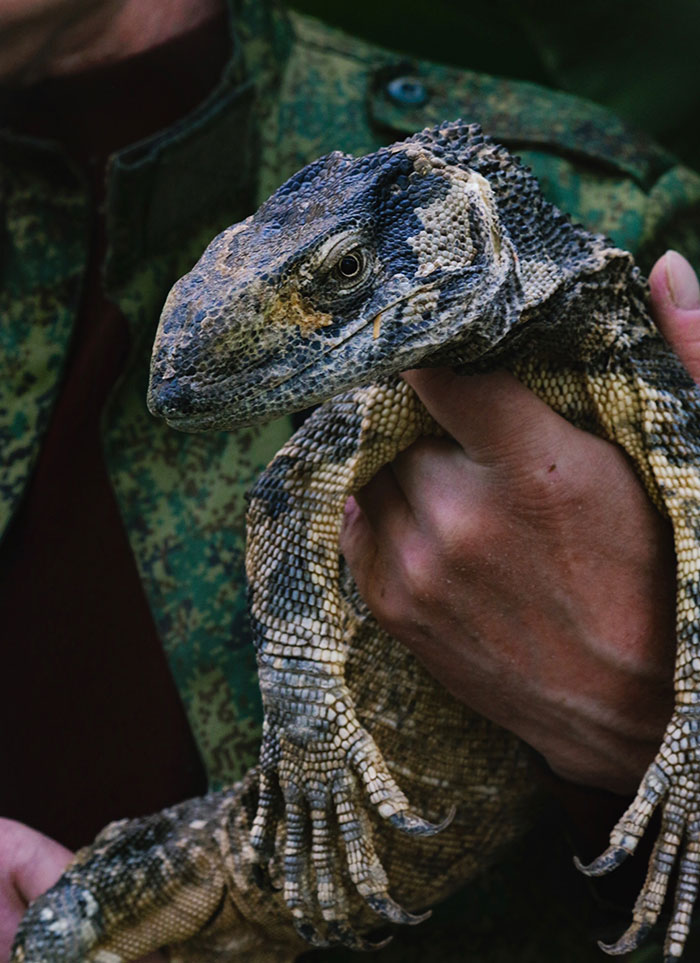 Valentine's Day Disasters That Will Make You Cringe (And Laugh)