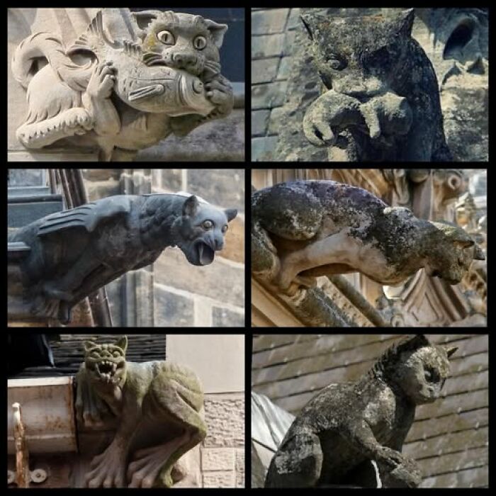 Cat Gargoyles Because Even Stone Likes Cats