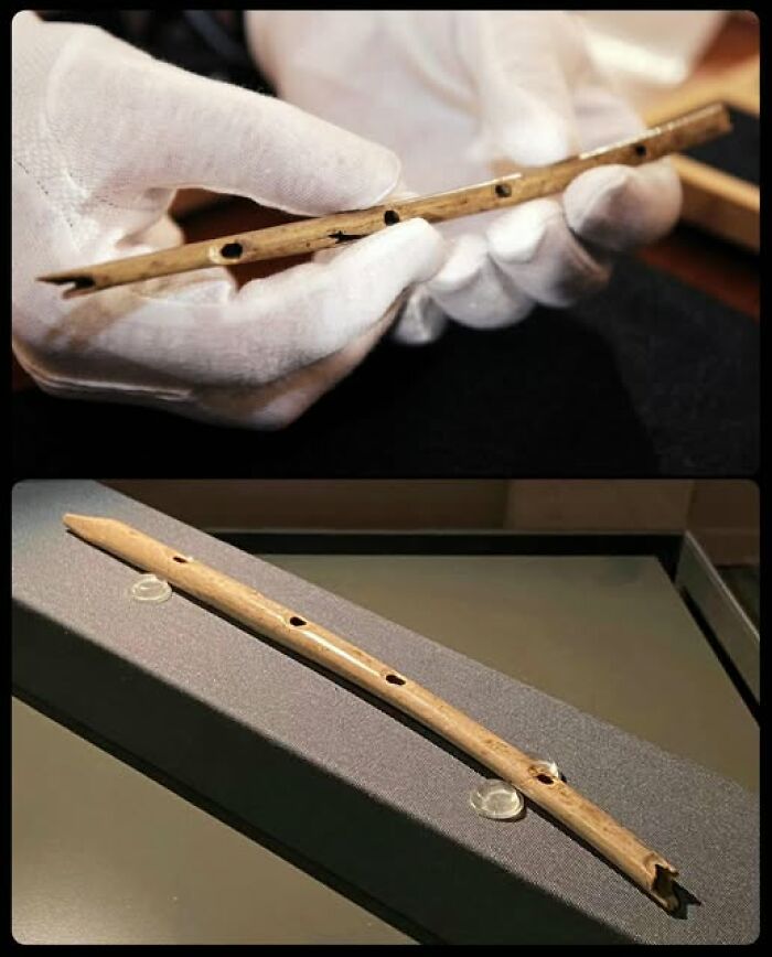 The Oldest Flute Ever, Carved Out Of a Vulture’s Wing Bone