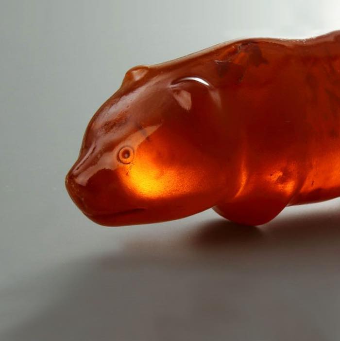 An Amber Bear Amulet From Over 3,000 Years Ago: The Ultimate Good Luck Charm