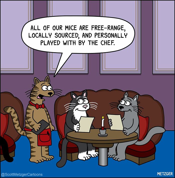 Wait Till You See These Hilarious Cat vs. Dog Comics!