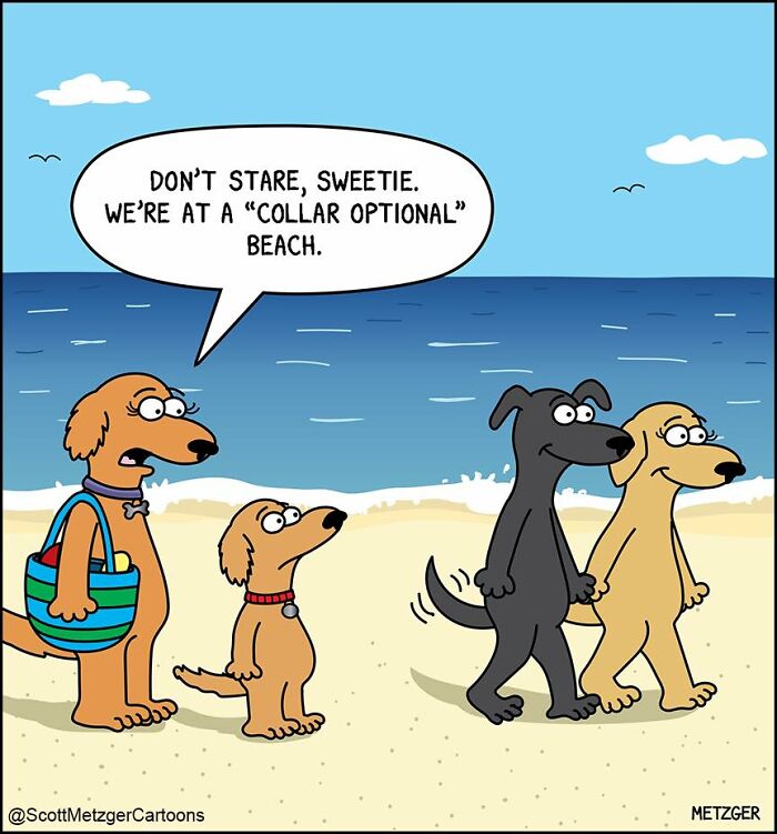 Wait Till You See These Hilarious Cat vs. Dog Comics!
