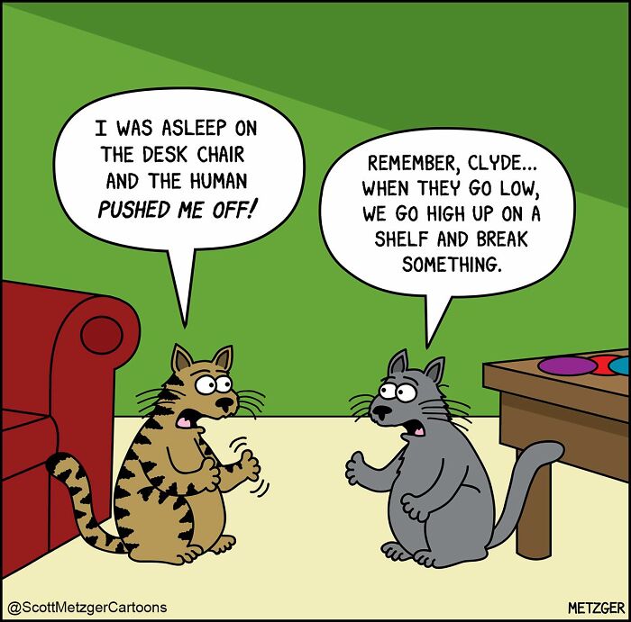 Wait Till You See These Hilarious Cat vs. Dog Comics!