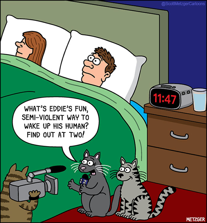 Wait Till You See These Hilarious Cat vs. Dog Comics!